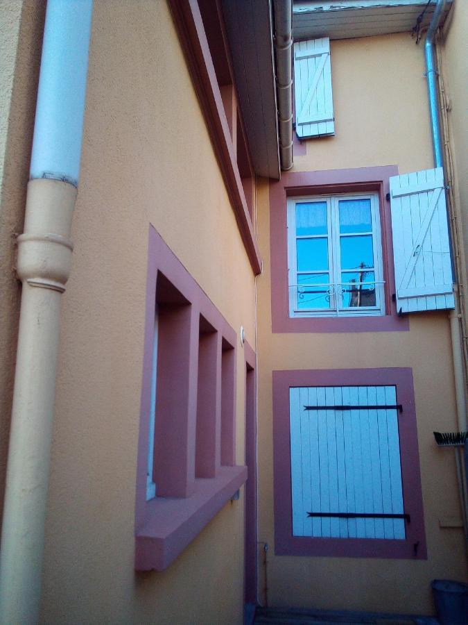 L'Oasis Maisonnette Centre Ville 3 Chambres Terrasse Espace Vert Prive Parc Sainte Croix Center Parc 20 Minutes 萨尔堡 外观 照片