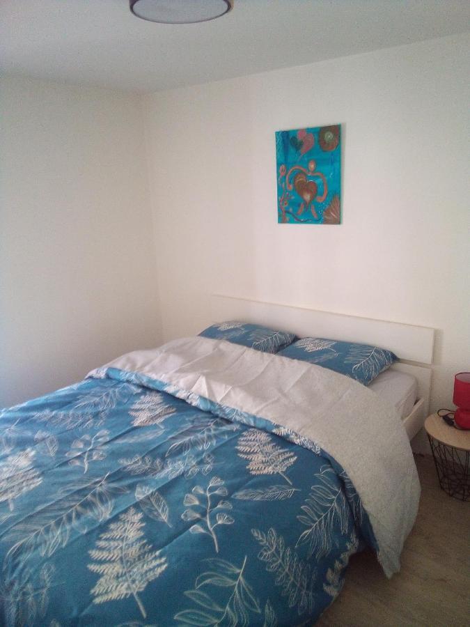 L'Oasis Maisonnette Centre Ville 3 Chambres Terrasse Espace Vert Prive Parc Sainte Croix Center Parc 20 Minutes 萨尔堡 外观 照片