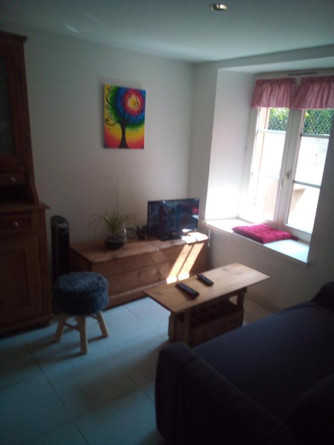 L'Oasis Maisonnette Centre Ville 3 Chambres Terrasse Espace Vert Prive Parc Sainte Croix Center Parc 20 Minutes 萨尔堡 外观 照片