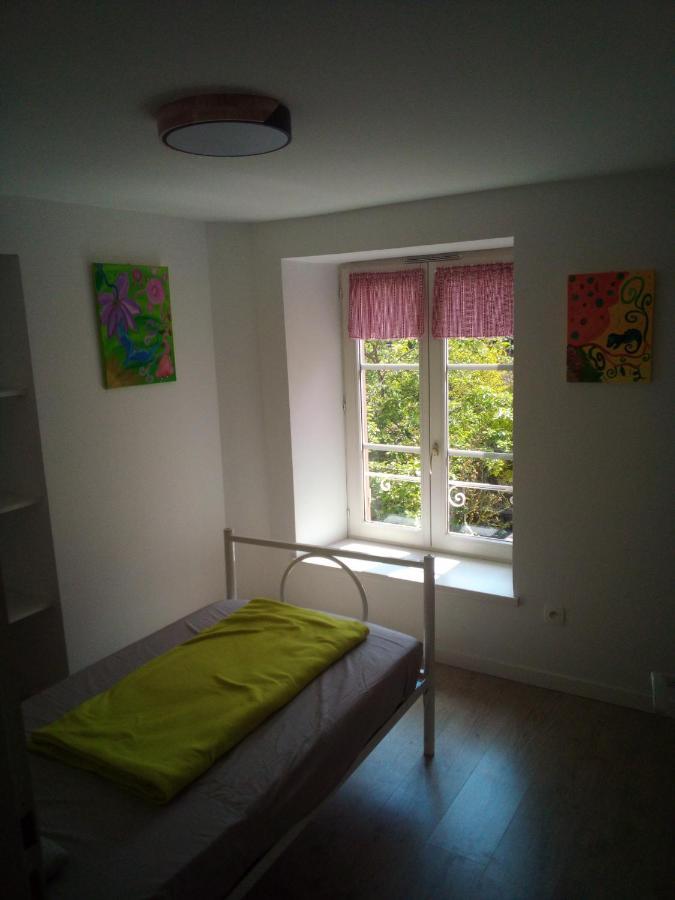 L'Oasis Maisonnette Centre Ville 3 Chambres Terrasse Espace Vert Prive Parc Sainte Croix Center Parc 20 Minutes 萨尔堡 外观 照片