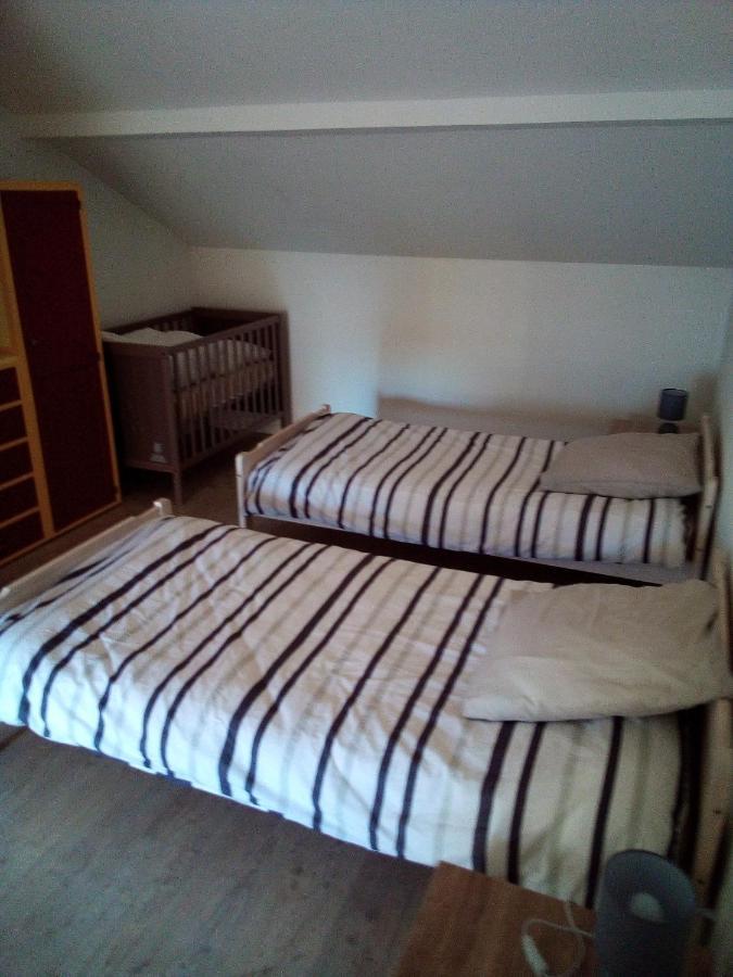 L'Oasis Maisonnette Centre Ville 3 Chambres Terrasse Espace Vert Prive Parc Sainte Croix Center Parc 20 Minutes 萨尔堡 外观 照片