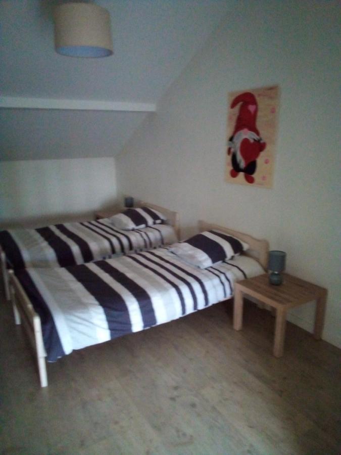 L'Oasis Maisonnette Centre Ville 3 Chambres Terrasse Espace Vert Prive Parc Sainte Croix Center Parc 20 Minutes 萨尔堡 外观 照片