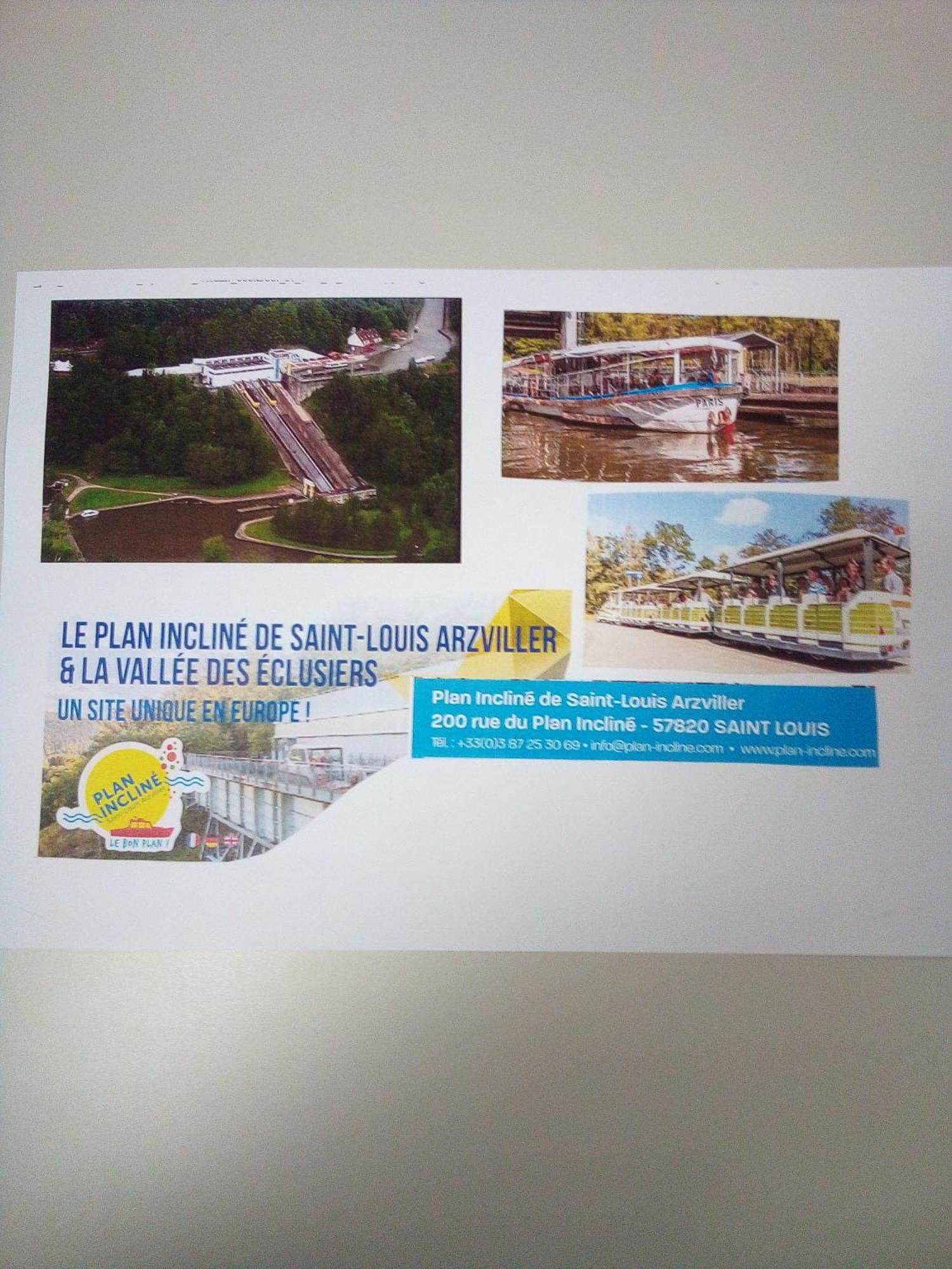 L'Oasis Maisonnette Centre Ville 3 Chambres Terrasse Espace Vert Prive Parc Sainte Croix Center Parc 20 Minutes 萨尔堡 外观 照片